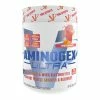 Amino Acids / Intraworkout VMI Sports Aminogex
