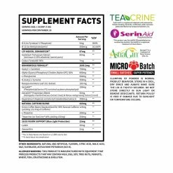 Man Sports Brain Bridge