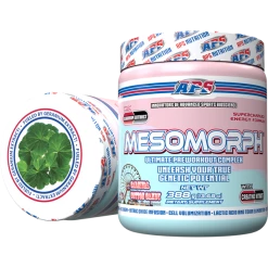 APS Mesomorph