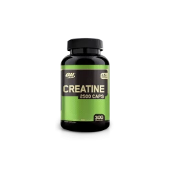Optimum Nutrition Creatine 2500