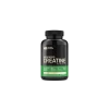Optimum Nutrition Micronized Creatine Powder