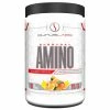 Amino Acids / Intraworkout Purus Labs Everyday Amino